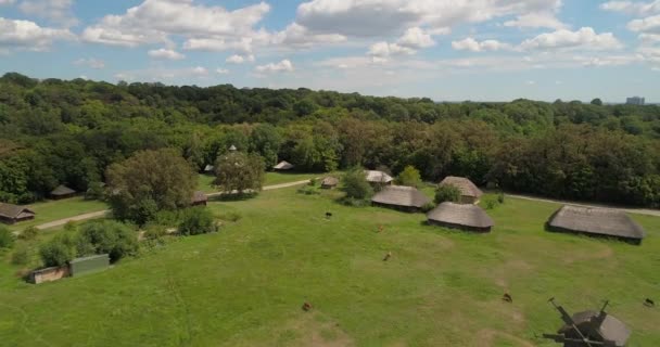 Vue Aérienne Groupe Chevaux Chevaux Broutant Dans Champ Herbe Verte — Video