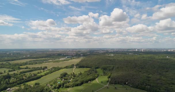 Luftaufnahme Des Parks Des Waldes Der Bäume Drohne Fliegt Hinunter — Stockvideo