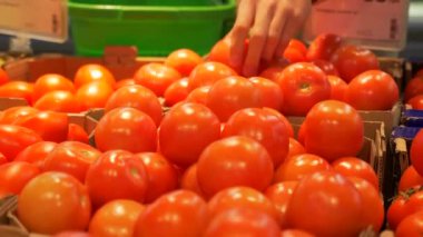 Genç adam, bir süpermarkette domates seçer. Bir el kırmızı domates sayacı alır ve yeşil sepete koyar. Bakkal. Sağlıklı gıda. 4 k görüntüleri