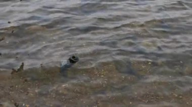 Çevre kirliliği sorunu, cam şişe dalgalar üzerinde yüzen. Okyanus hurda kirliliği, kavramı durdurun. 4k görüntüleri