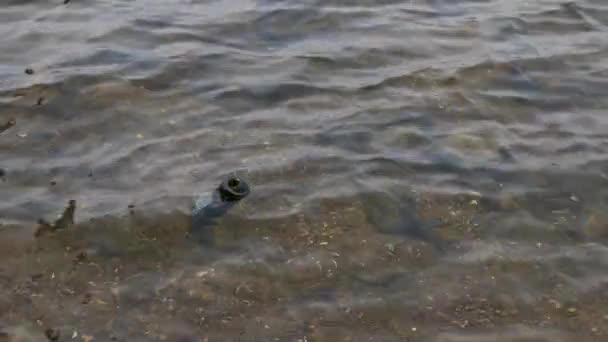 Umweltverschmutzung Glasflasche Schwimmt Auf Den Wellen Stoppt Die Meeresverschmutzung Konzept — Stockvideo