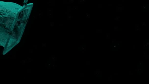 黒い背景に透明な水の下に浮かぶスクープネット 水族館のフープネット スローモーション クローズ アップ — ストック動画