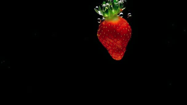 Eine Rote Erdbeere Die Transparenten Wasser Auf Schwarzem Hintergrund Plätschert — Stockvideo