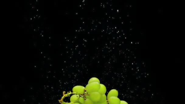 Branch Green Grapes Lie Transparent Water Black Background Falling Fresh — Stock Video