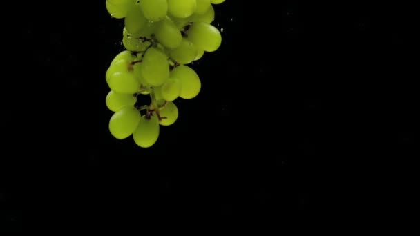 Zöld szőlő ága úszó átlátszó víz alatt fekete háttér. Falling friss gyümölcsök és bogyók akváriumban. Organikus bogyó, egészséges táplálkozás, diéta, légbuborékok. Lassított. Közeli.