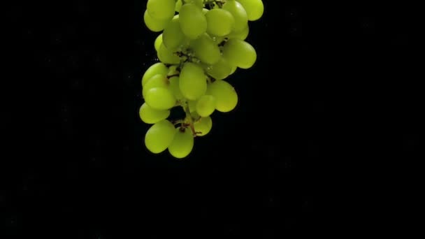 Gałąź Zielonych Winogron Wchodzących Przezroczystą Wodę Czarnym Tle Świeże Owoce — Wideo stockowe