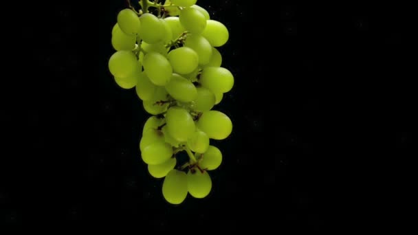 Branch Green Grapes Floating Transparent Water Black Background Falling Fresh — Stock Video