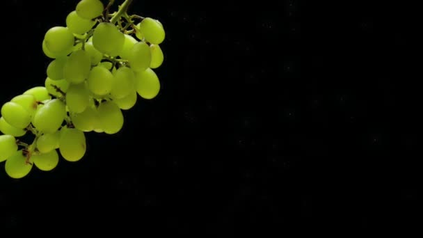 在黑色背景上漂浮在透明水下的绿色葡萄的分支 在水族馆里掉落新鲜水果和浆果 有机浆果 健康食品 慢动作 — 图库视频影像