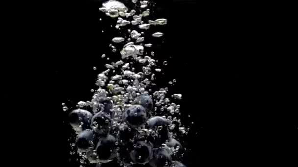 Branch Blue Grapes Falling Transparent Water Black Background Fresh Fruits — Stock Video