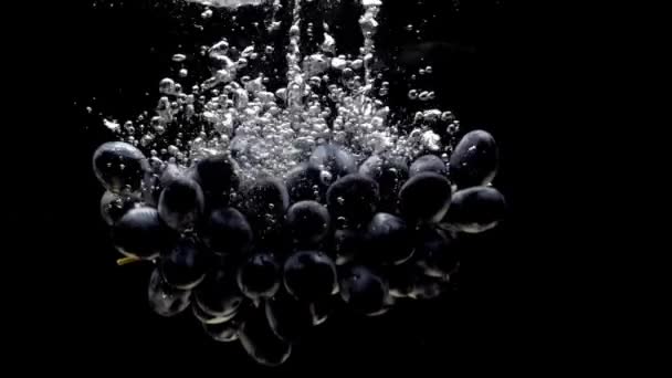 Rama Uvas Azules Que Cae Agua Transparente Sobre Fondo Negro — Vídeo de stock