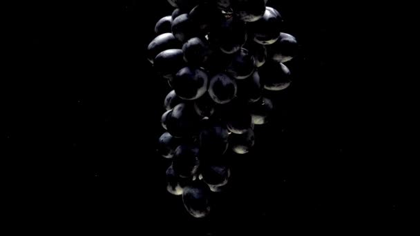 黒い背景に透明な水の下に浮かぶ青ブドウの枝 水族館で新鮮な果物やベリーを落とす オーガニックベリー 健康食品 ダイエット スローモーション クローズ アップ — ストック動画