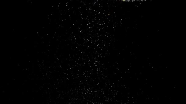 Воздушные Пузырьки Плавают Прозрачной Водой Черном Фоне Пузырьки Воды Аквариуме — стоковое видео