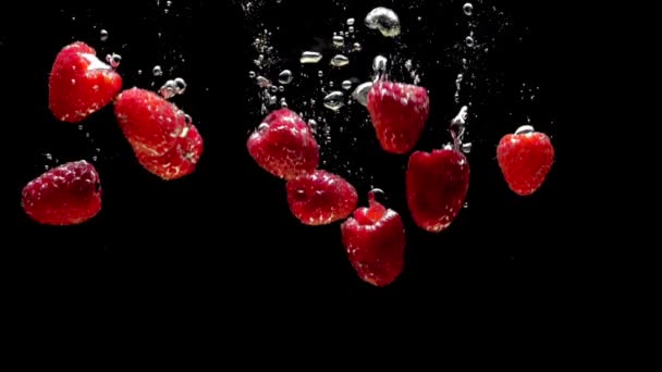 黒い背景に透明な水に落ちるラズベリー 水族館で飛び散る新鮮な果物やベリー オーガニックベリー 健康食品 スローモーション クローズ アップ — ストック動画