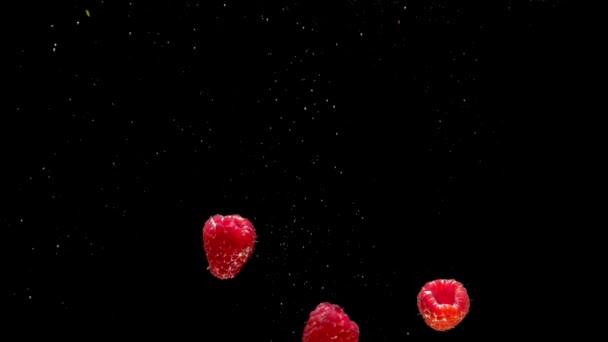 Raspberries Falling Transparent Water Black Background Fresh Fruits Berries Splashing — Stock Video
