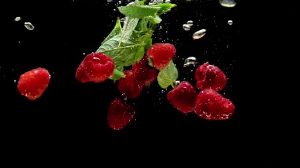 ラズベリーとミントの葉は 黒い背景に透明な水に落ちる 水族館で飛び散る新鮮な果物やベリー オーガニックベリー 健康食品 スローモーション クローズ アップ — ストック動画