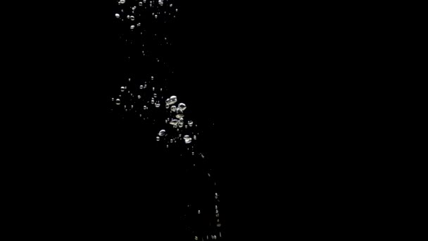 Зеленая Лайм Падает Прозрачную Воду Черном Фоне Свежие Фрукты Ягоды — стоковое видео