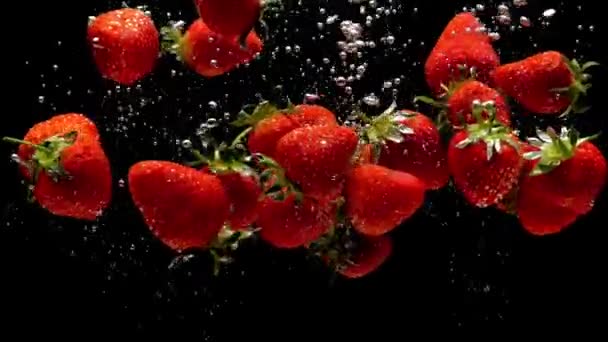 黒い背景に透明な水に落ちる赤いイチゴの飛び散り 水族館の新鮮な果物やベリー オーガニックベリー 健康食品 ダイエット スローモーション クローズ アップ — ストック動画