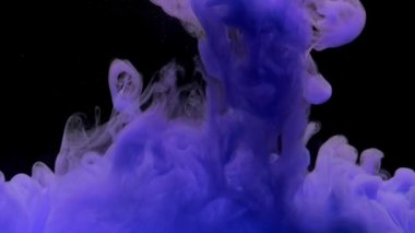 Renkli mor mürekkep su yukarıdan damla, kopya alanı ile siyah arka plan üzerinde yumuşak sualtı girdap. Renkli akrilik boya bulutu izole edilmiştir. Soyut duman patlama animasyon. Timelapse. Yavaş çekim.