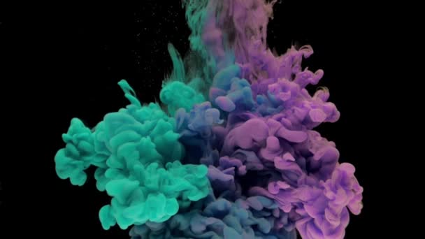 カラフルなターコイズと紫色のインクが水中に立ち上がり コピースペースで黒い背景に静かに水中を旋回します 塗料の着色されたアクリル雲が分離しました 抽象的な煙の爆発アニメーション タイムラプス スローモーション — ストック動画