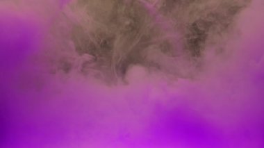 Renkli mor mürekkep suda karıştırma, kopya alanı ile su altında yumuşak dönen. Renkli akrilik boya bulutu izole edilmiştir. Soyut duman patlama animasyon. Evren, uzay. Sanat geçmişi. Timelapse.