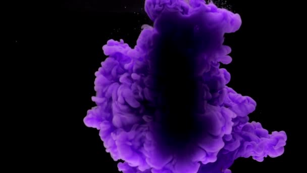 カラフルな紫色のインクは 水中で混合し コピースペースと黒い背景に柔らかく水中を旋回し 上から滴ります 塗料の着色されたアクリル雲が分離しました 抽象的な煙の爆発アニメーション スローモーション — ストック動画