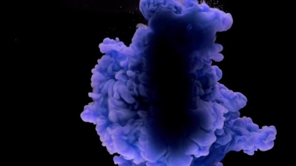 カラフルな青いインクは 水中で混合し コピースペースと黒い背景に柔らかく水中を旋回し 上から滴ります 塗料の着色されたアクリル雲が分離しました 抽象的な煙の爆発アニメーション スローモーション — ストック動画