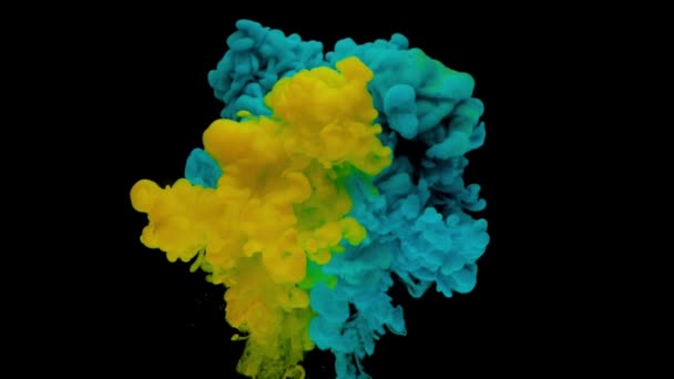 다채로운 파란색과 노란색 잉크가 배경에 부드럽게 소용돌이 페인트의 아크릴 애니메이션입니다 — 비디오