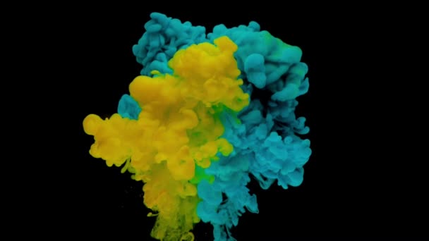 カラフルな青と黄色のインクが水中に立ち上がり コピースペースで黒い背景に柔らかく水中を旋回し 混合します 塗料の着色されたアクリル雲が分離しました 抽象的な煙の爆発アニメーション スローモーション — ストック動画