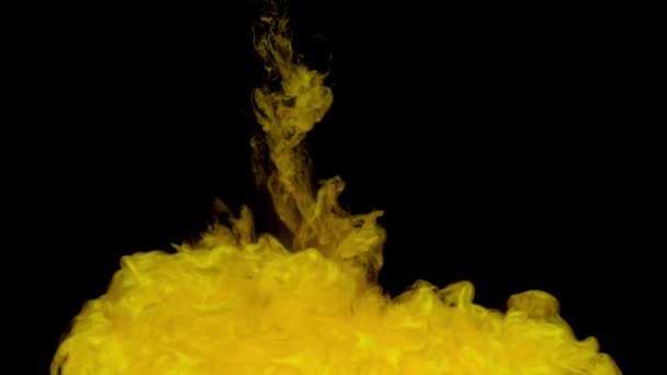 鮮やかな金色のインクは 水中で混合し コピースペースと黒い背景に柔らかく水中を旋回し 上から滴ります 塗料の着色されたアクリル雲が分離しました 抽象的な煙の爆発アニメーション スローモーション — ストック動画