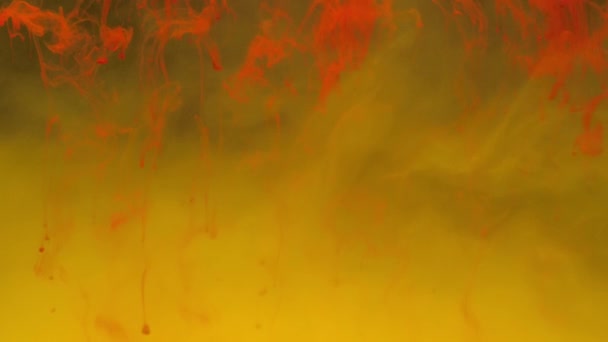 カラフルな赤いインクは 水に混合し 背景に金色のインクで柔らかく水中を旋回し 上から滴ります 塗料の着色されたアクリル雲が分離しました 抽象的な煙の爆発アニメーション 4Kフッテージ — ストック動画