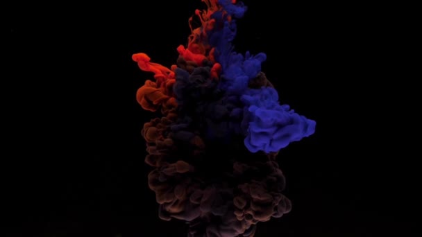 カラフルな赤と青のインクは 水中で混合し コピースペースと黒い背景に柔らかく水中を旋回し 上から滴ります 塗料の着色されたアクリル雲が分離しました 抽象的な煙の爆発アニメーション タイムラプス スローモーション — ストック動画