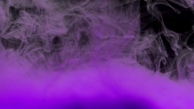 Renkli mor mürekkep suda karıştırma, kopya alanı ile siyah arka plan üzerinde yumuşak sualtı girdap. Renkli akrilik boya bulutu izole edilmiştir. Soyut duman patlama animasyon.