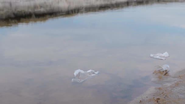 Botol Plastik Tas Dan Sampah Lainnya Dibuang Pasir Pantai Dan — Stok Video