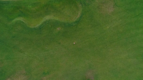 Vue aérienne de l'homme sur casque VR, qui lève les yeux vers la caméra et redresse son casque dans le parc. Jeune homme en casque expérimentant la réalité augmentée sur le fond de la nature. Images de drone 4K .