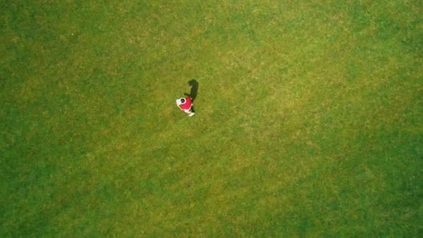 Kulaklık Kullanan Parkta Sanal Bir Oyun Oynayan Adamın Havadan Görünümü — Stok video