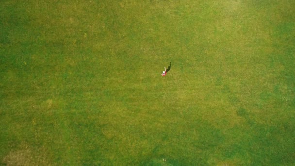 Вид Воздуха Человека Использующего Гарнитуру Играющего Виртуальную Игру Парке Молодой — стоковое видео