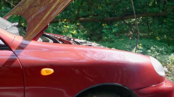 森の真ん中に立つ壊れた赤い車のオープンフードのクローズアップ 屋外で自動を修復します その車は道路で故障した 4Kフッテージ — ストック動画