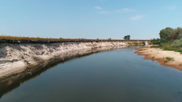 Madártávlatból Egy Madár Keres Ételt Szennyezett Strandon Szárított Folyó Környezetszennyezésre — Stock videók