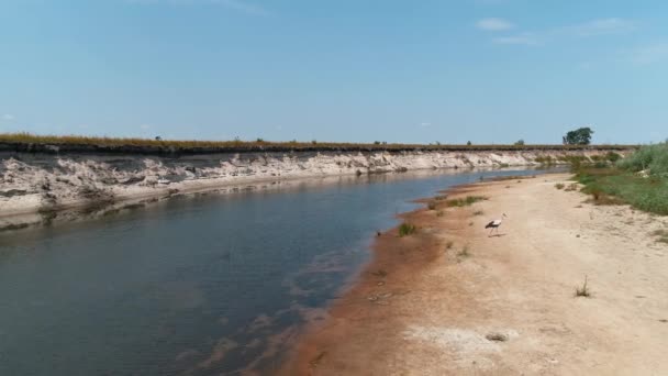 Veduta Aerea Uomo Tuta Protettiva Respiratore Che Raccoglie Rifiuti Plastica — Video Stock