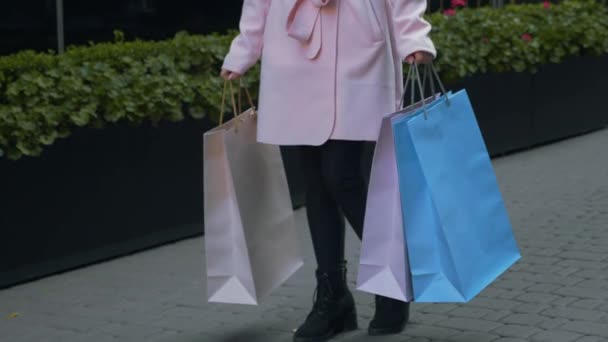 매력적인 여자는 쇼핑입니다 그녀의 가방을 여자는 쇼핑몰의 외관의 화단의 배경에 — 비디오