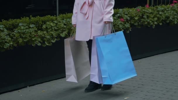 Jonge Aantrekkelijke Vrouw Winkelen Lady Met Papieren Zakken Haar Handen — Stockvideo