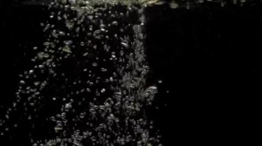 Sayısız küçük hava kabarcıkları kristal berrak suyun altına nüfuz ediyor, karıştırıyor ve yükseliyor, siyah arkaplanda fotokopi uzayı ile yavaşça dalgalanıyor. Sualtı baloncukları kargaşa çıkarıyor. Ağır çekim. Yakın plan.