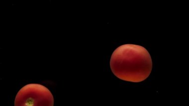 Siyah zemin üzerinde saydam suyun altında iki kırmızı domates yatıyor. Akvaryuma taze organik sebzeler sıçrıyor. Market, sağlıklı yiyecekler, diyet, vejetaryenlik, hava kabarcıkları. Ağır çekim. Yakın plan.