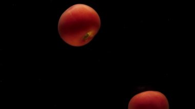 Siyah zemin üzerinde saydam suyun altında iki kırmızı domates yatıyor. Akvaryuma taze organik sebzeler sıçrıyor. Market, sağlıklı yiyecekler, diyet, vejetaryenlik, hava kabarcıkları. Ağır çekim. Yakın plan.