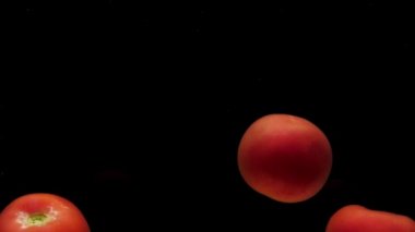 Siyah zemin üzerinde şeffaf suyun altında üç kırmızı domates yatıyor. Akvaryuma taze organik sebzeler sıçrıyor. Market, sağlıklı yiyecekler, diyet, vejetaryenlik, hava kabarcıkları. Ağır çekim. Yakın plan.