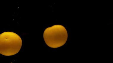 Siyah arka planda şeffaf suya düşen dört sarı domates. Akvaryuma taze organik sebzeler sıçrıyor. Market, sağlıklı yiyecekler, vejetaryenlik, hava kabarcıkları. Ağır çekim. Yakın plan..