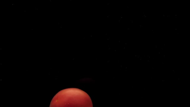 Pomodoro Rosso Giace Sotto Acqua Trasparente Fondo Nero Verdure Biologiche — Video Stock