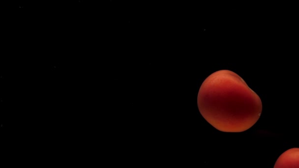 Une Tomate Rouge Trouve Sous Eau Transparente Sur Fond Noir — Video