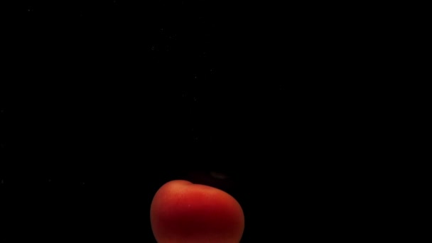 Zwei Rote Tomaten Die Transparentes Wasser Auf Schwarzem Hintergrund Fallen — Stockvideo