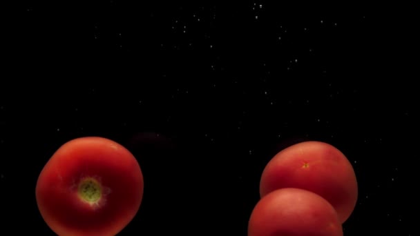 3つの赤いトマトは黒い背景の透明な水の下にあります 新鮮な有機野菜が水族館で飛び散っています 食料品店 健康食品 菜食主義 スローモーション — ストック動画